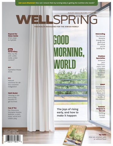 "Wellspring Issue #91" publication cover image