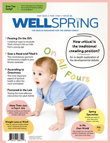 "Wellspring Issue #88" publication cover image