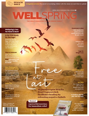 "Wellspring Issue #87" publication cover image