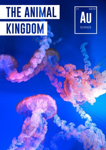 Issue 21 - Animal Kingdom